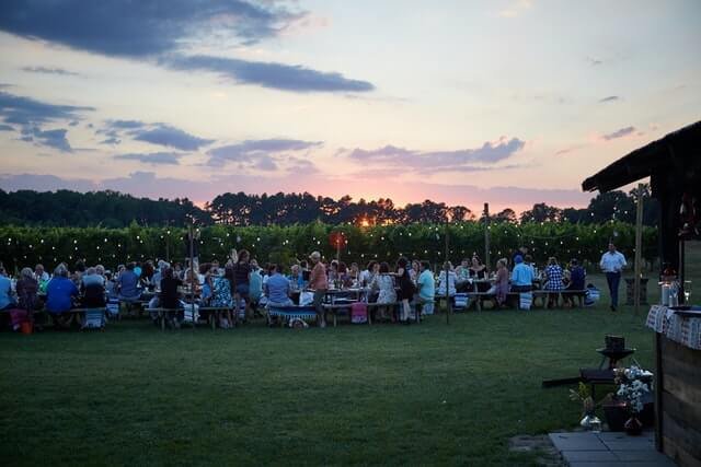 people sitting on green grass